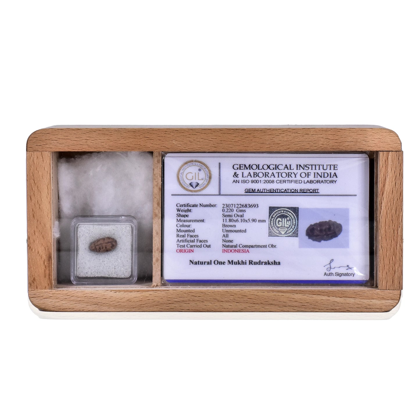 1 Mukhi Rudraksha / One Face Rudraksha with Certificate( Note: (A), B, C , AA, AAA and premium also available. Price may vary... Indonesia...Nepal..
