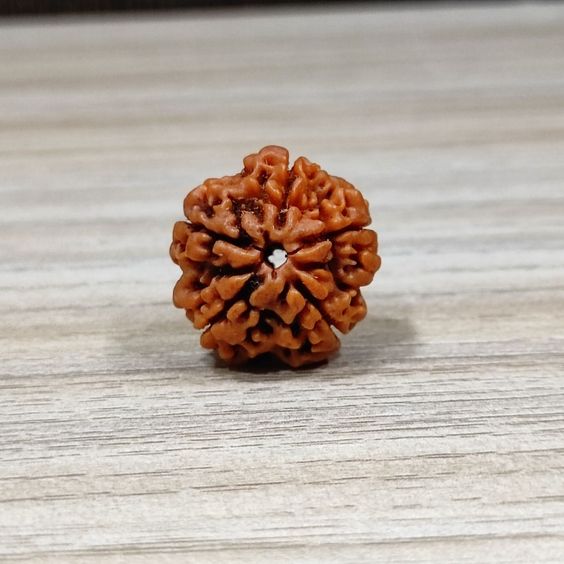 5 Mukhi Rudraksha Original Certified Pure Panchmukhi Rudraksha AA++ Five Face Rudraksha Blessed Beads Panch Mukhi Rudraksha for Men & Women