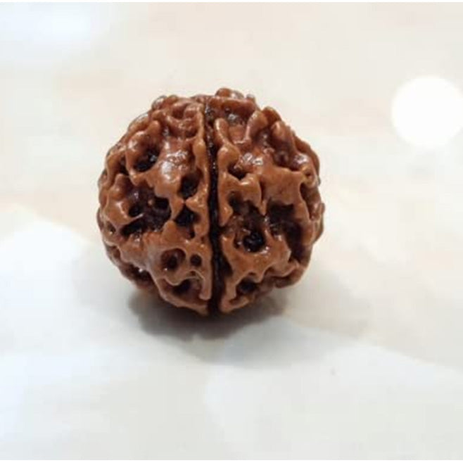 5 Mukhi Rudraksha Original Certified Pure Panchmukhi Rudraksha AA++ Five Face Rudraksha Blessed Beads Panch Mukhi Rudraksha for Men & Women