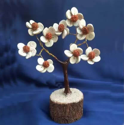 Gomti Chakra & Rudraksha Tree