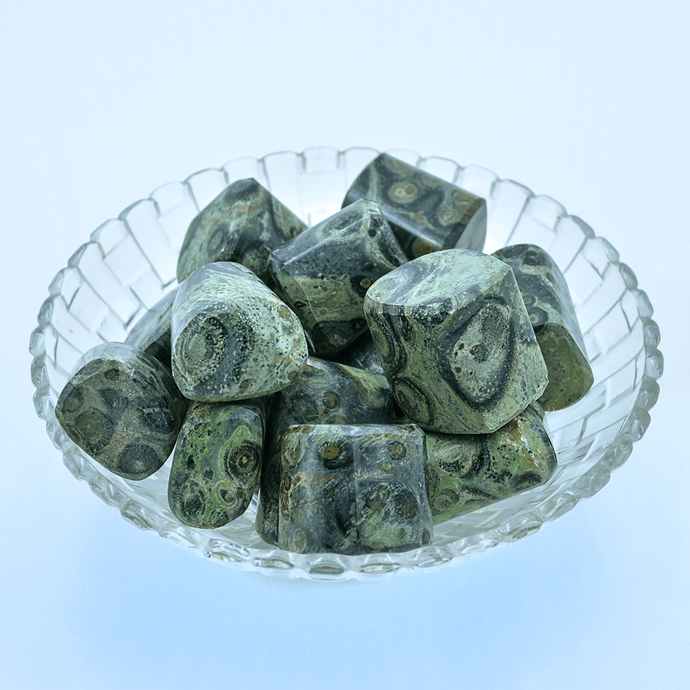 Kambaba Jasper Tumbled Stone Regular Asymmetrical Crystal Stone (Green and Black 5 Pieces)