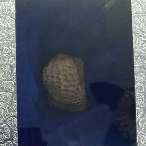 Kuber Mani (It is for Attraction of money)