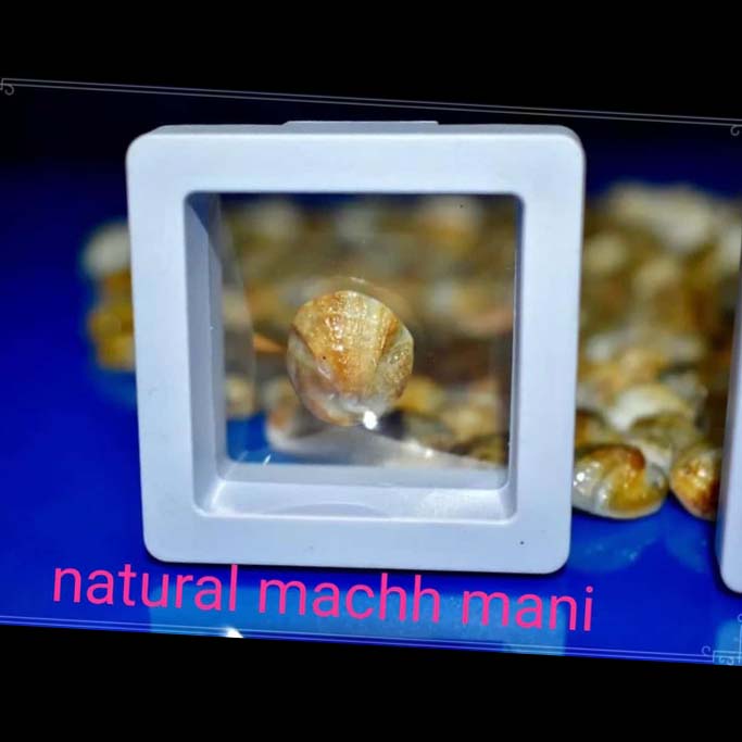 Rahu Mani or Machha Mani It's for Planat Rahu and Buddh