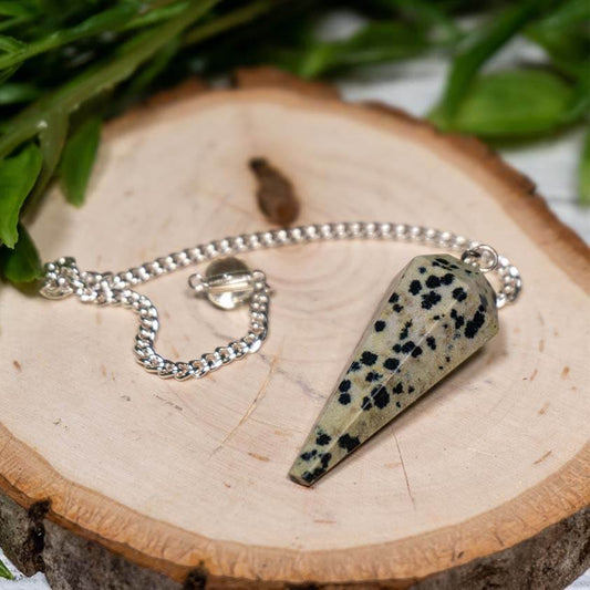 Dalmation Jasper Dowser