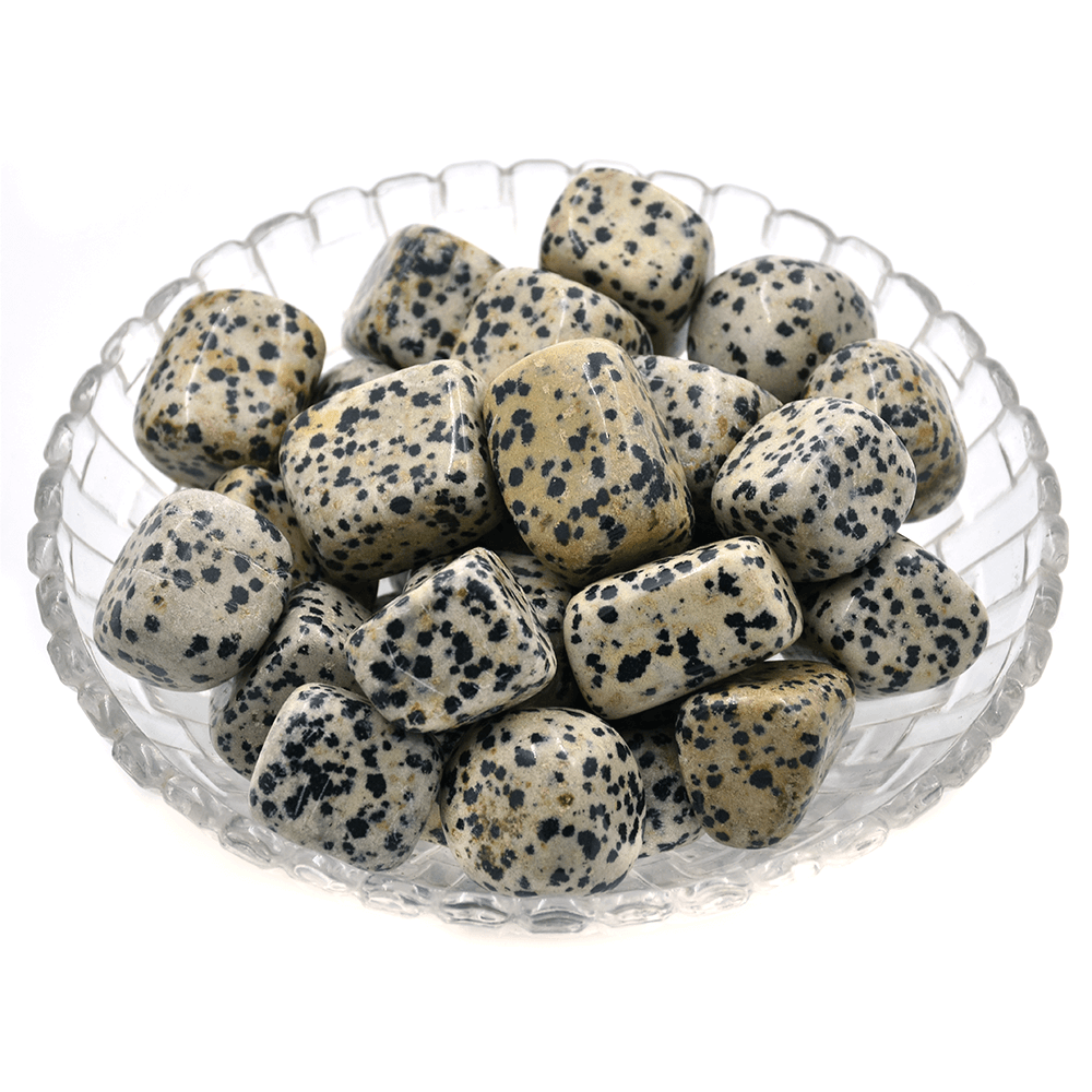 Dalmatian Jasper Tumbled(5 pcs) with Jute Bag Regular size Crystal Stone