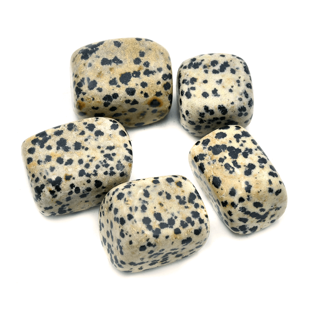 Dalmatian Jasper Tumbled(5 pcs) with Jute Bag Regular size Crystal Stone