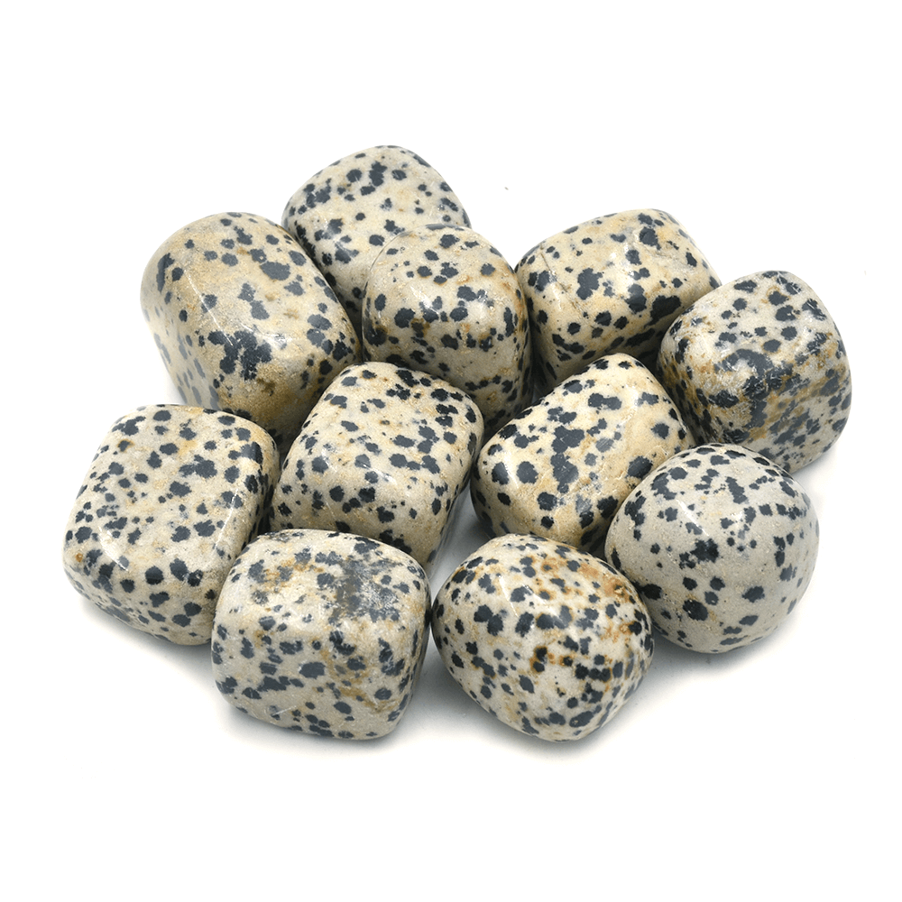 Dalmatian Jasper Tumbled(5 pcs) with Jute Bag Regular size Crystal Stone