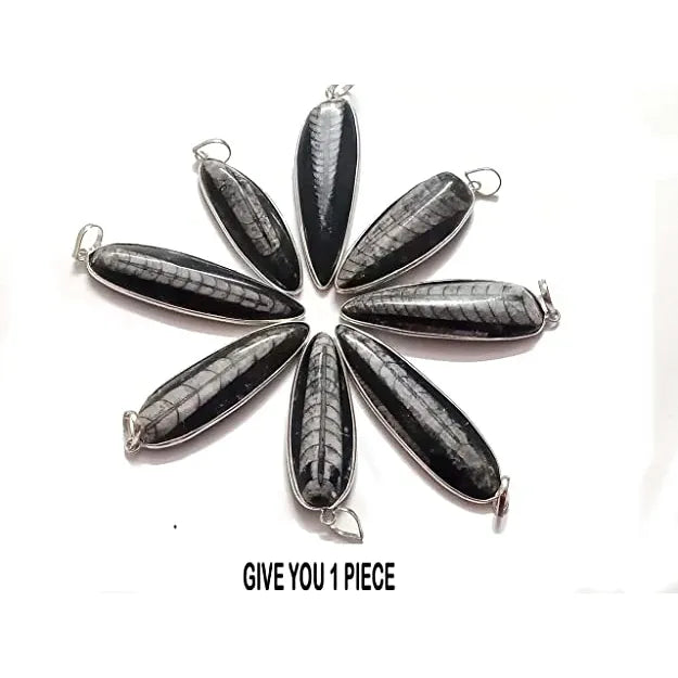 orthoceras Pendent