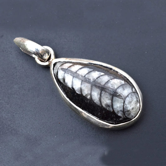 orthoceras Pendent