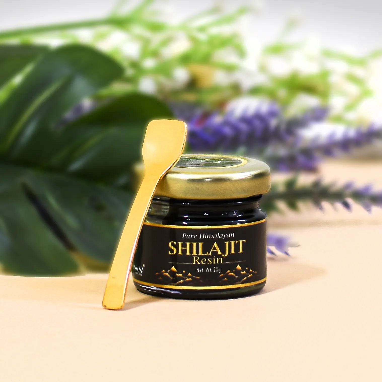 Reshamm Shilajit Resin
