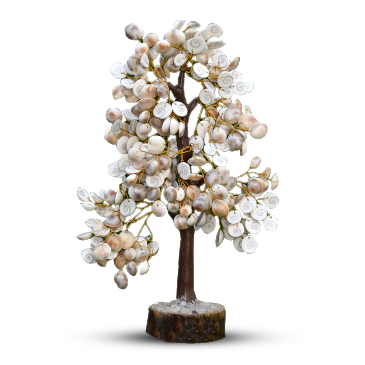 Mystic Unity Blessings Ensemble Containing Gomti Chakra Tree, Gomti Ch ...